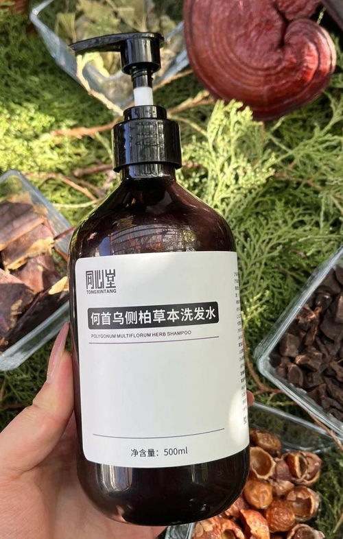 告別脫發(fā)困擾！2024平價(jià)防脫育發(fā)產(chǎn)品盤點(diǎn)，這四款值得一試